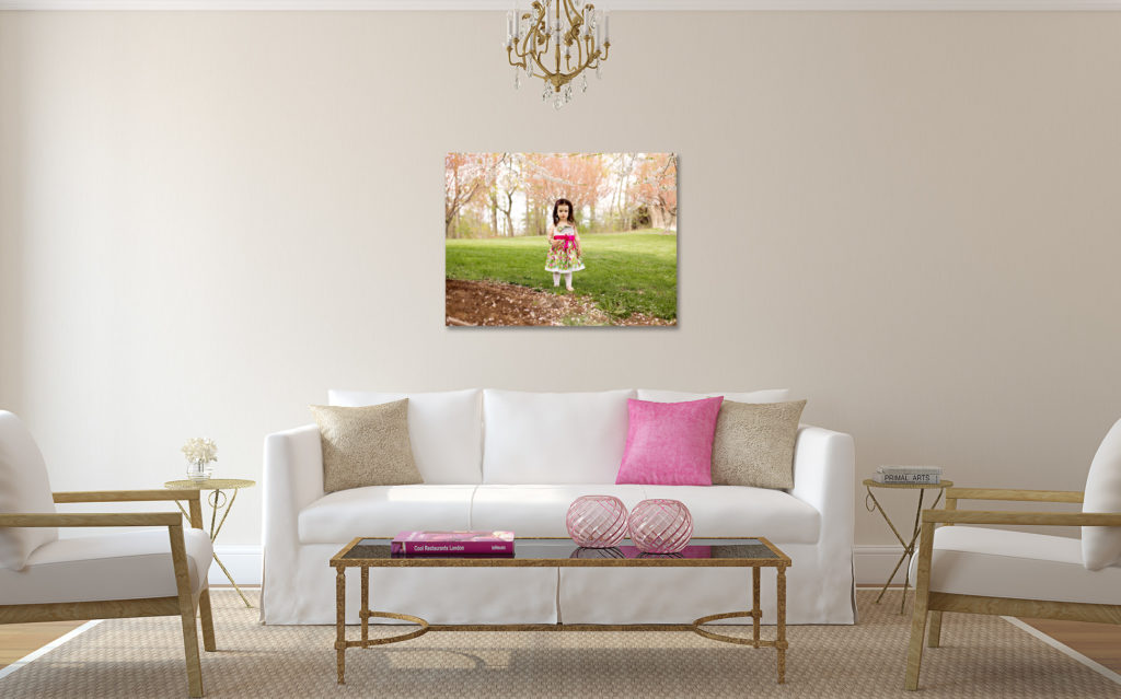 Large Canvas Wall Art over Sofa