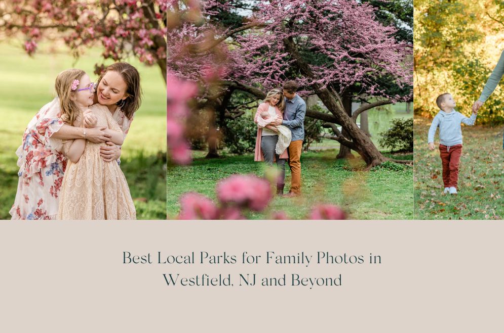 Best Parks for Family Photos in Westfield, NJ Area